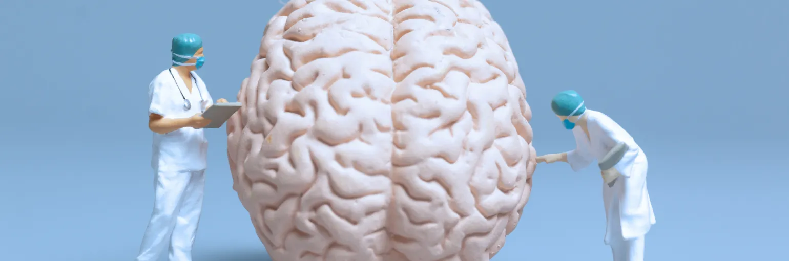 investigating the brain